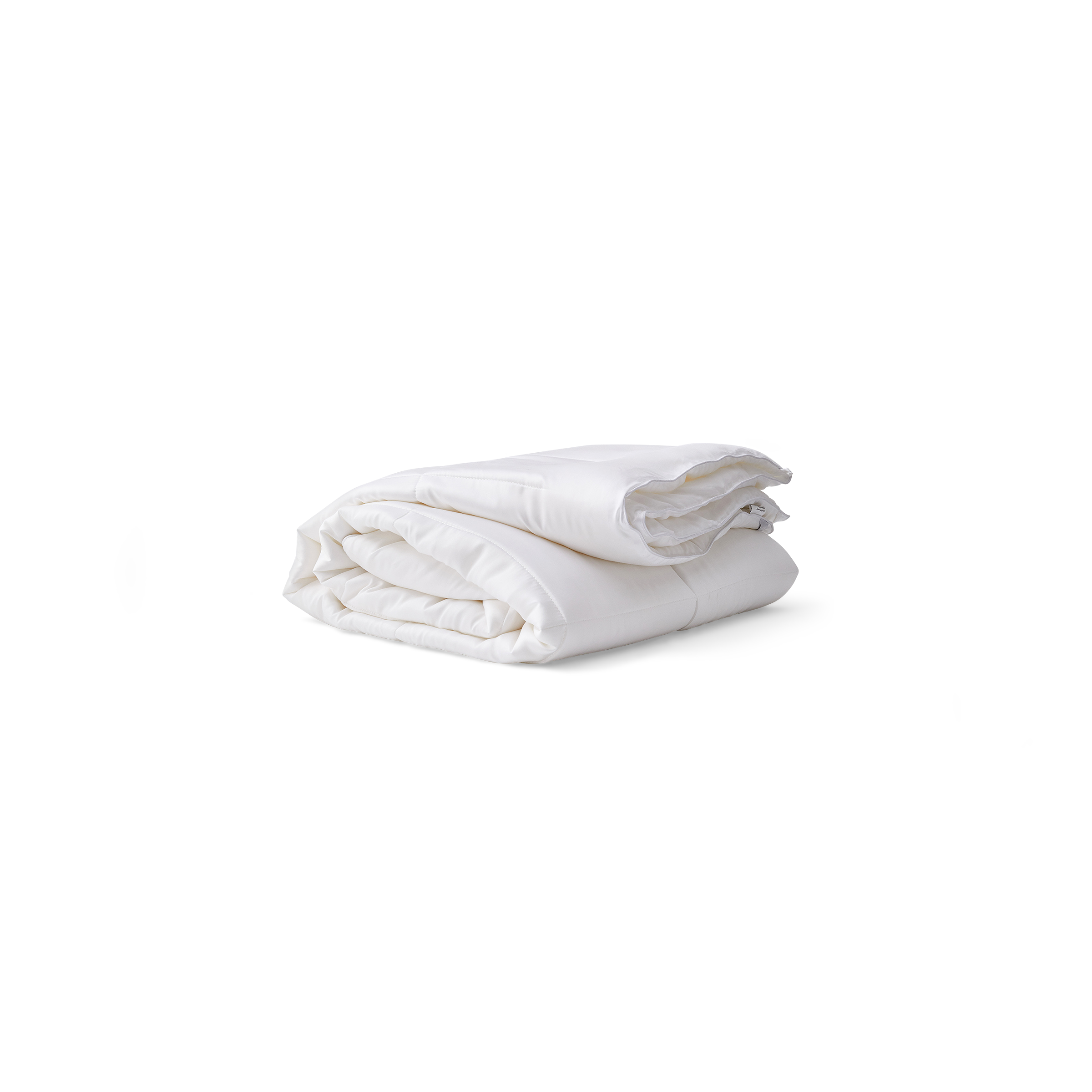 Eucalyptus Duvet Insert - King / N/A