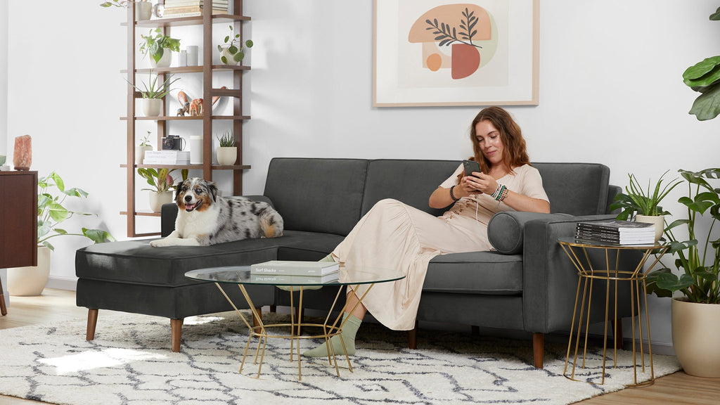 Modern dark gray sectional sofa with wooden legs in a bright living room, featuring a woman and a dog lounging comfortably.