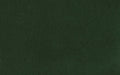 Dark forest green textured fabric swatch with subtle ribbed pattern, suitable for upholstery or apparel.