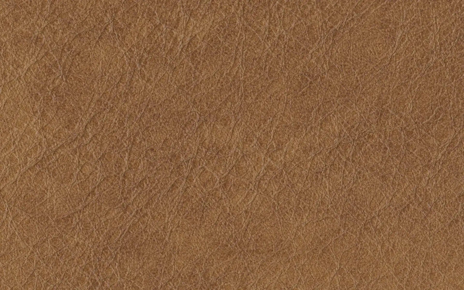 Close-up of textured brown leather surface with natural creases and grain detail.