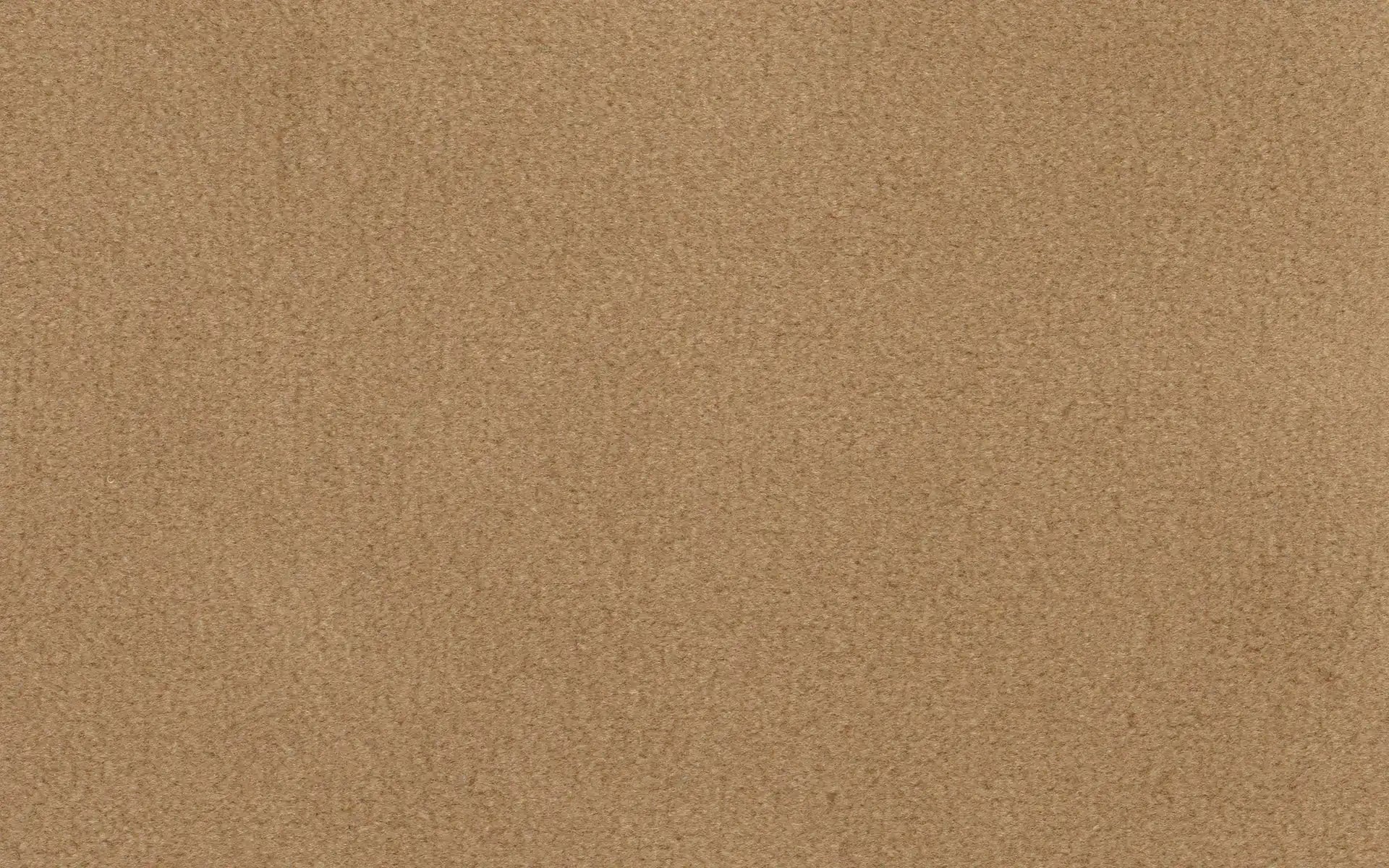 Close-up of a textured brown corkboard surface, showing natural grain and pattern.