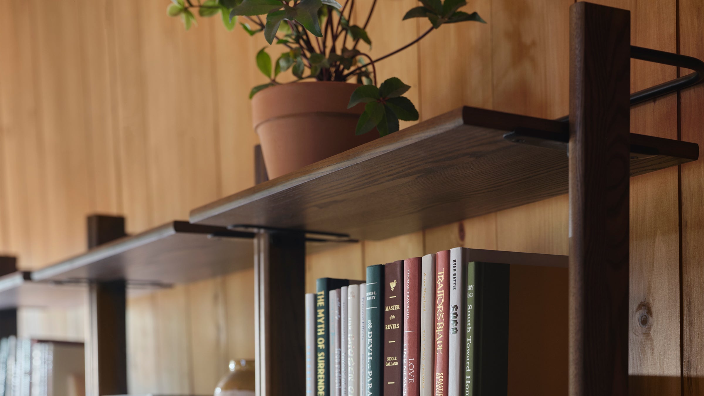 Close-up of a dark wooden wall-mounted shelf holding books and a terracotta potted plant against a light wood-paneled wall.